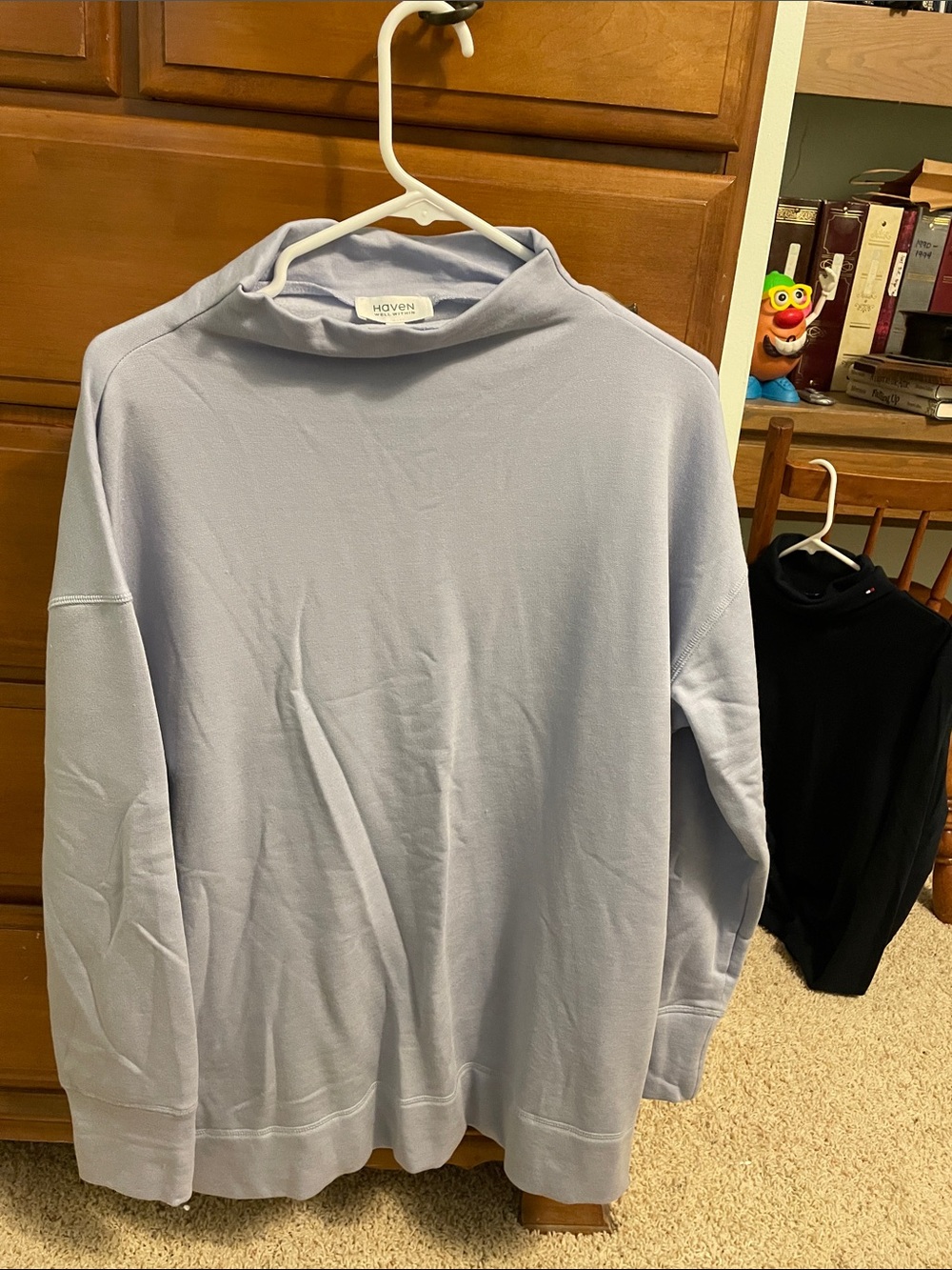 Have Woman’s Pale Blue Turtleneck Sweater